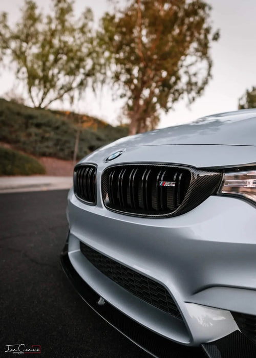 BMW F8X Carbon Grilles - photo 2