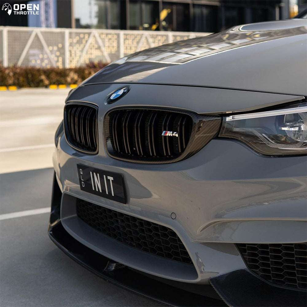 BMW F8X Carbon Grilles - photo 3