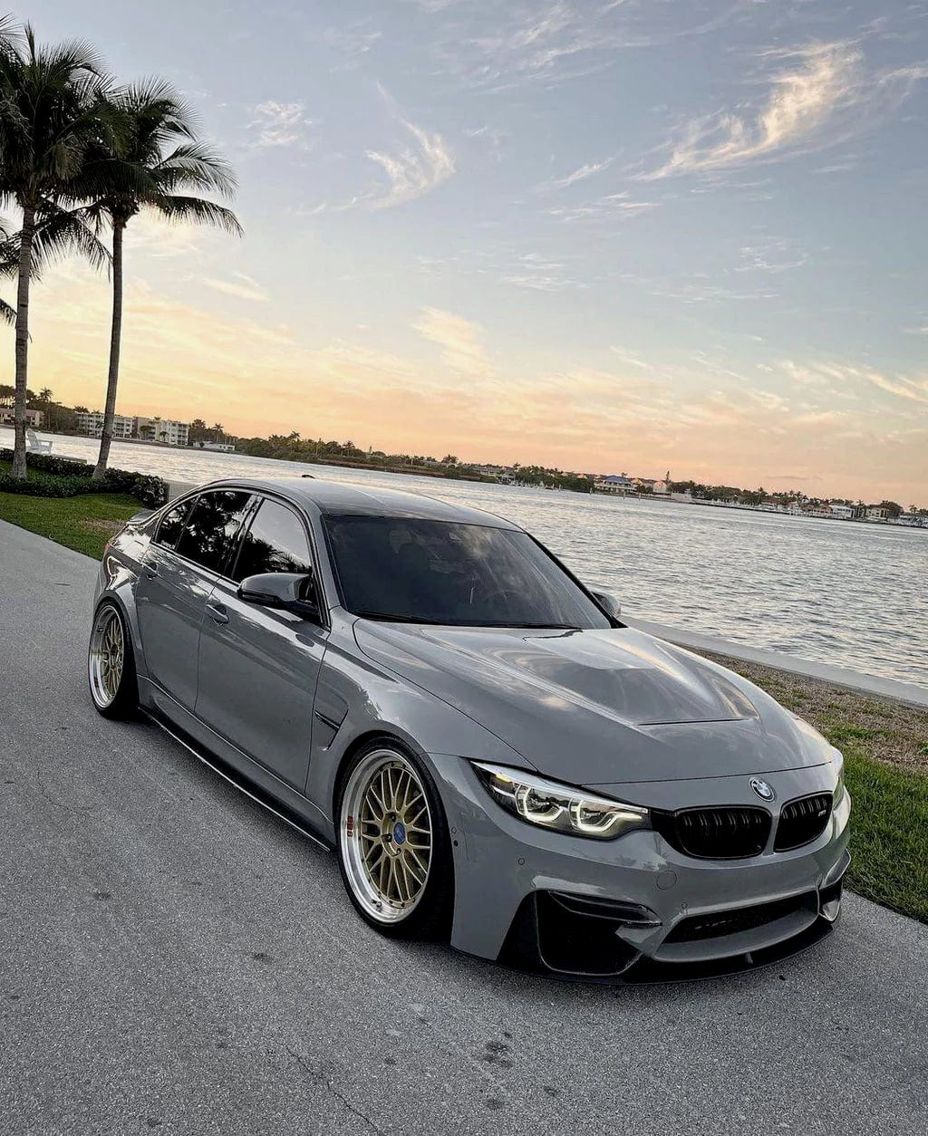 BMW F8X M-Performance Carbon Sideskirts - photo 2
